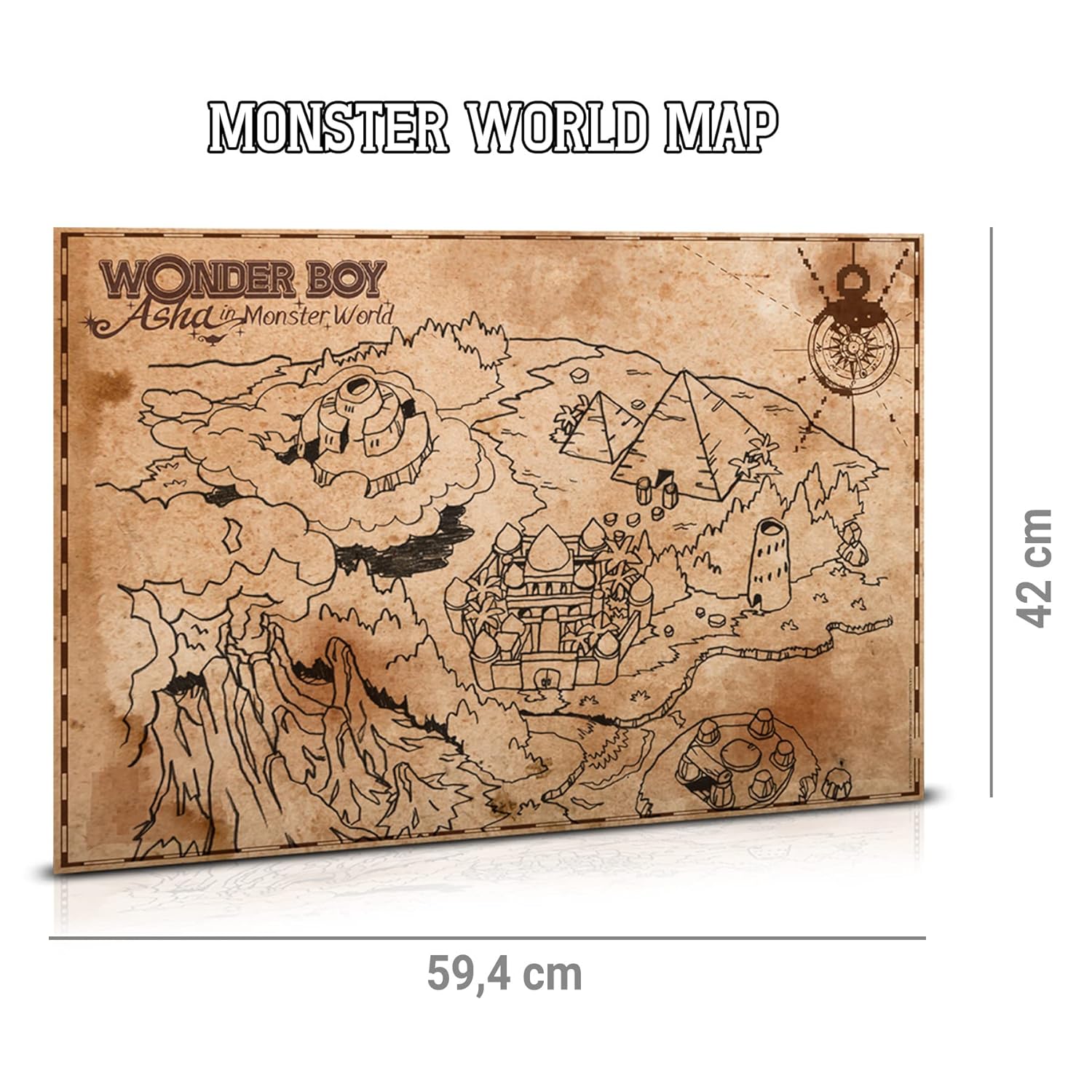 Limited Collector's Edition | Wonder Boy: Asha in Monster World | Nintendo Switch